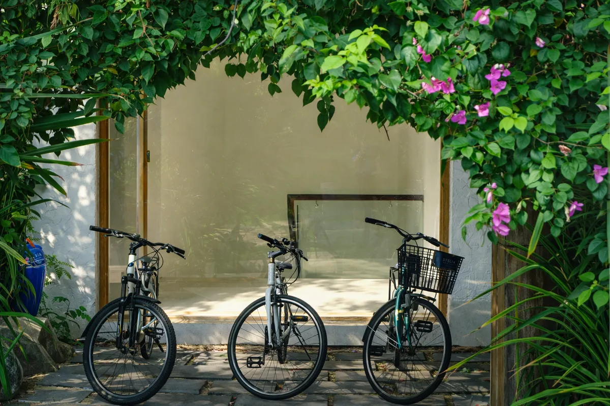 L&agrave;ng C&oacute;i